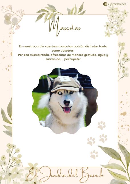 Petfriendly - El jardín del Brunch